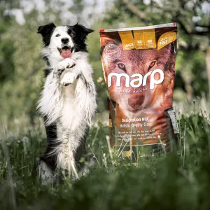 🐾 Rychlá pětka: Dopřej svému mazlíčkovi Snídani šampiónů!