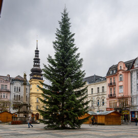 Ostrava už má STROMEČEK! A je NÁDHERNÝ!