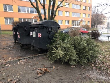 V Ostravě opět proběhne svoz vánočních stromků!