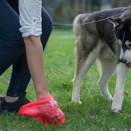 Bič na bezohledné pejskaře! V Itálii je budou hledat díky DNA!