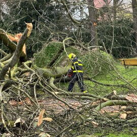 VÍTR V MORAVSKOSLEZSKÉM KRAJI LÁMAL VĚTVE A STROMY, nejvíc zásahů hlásí Ostrava