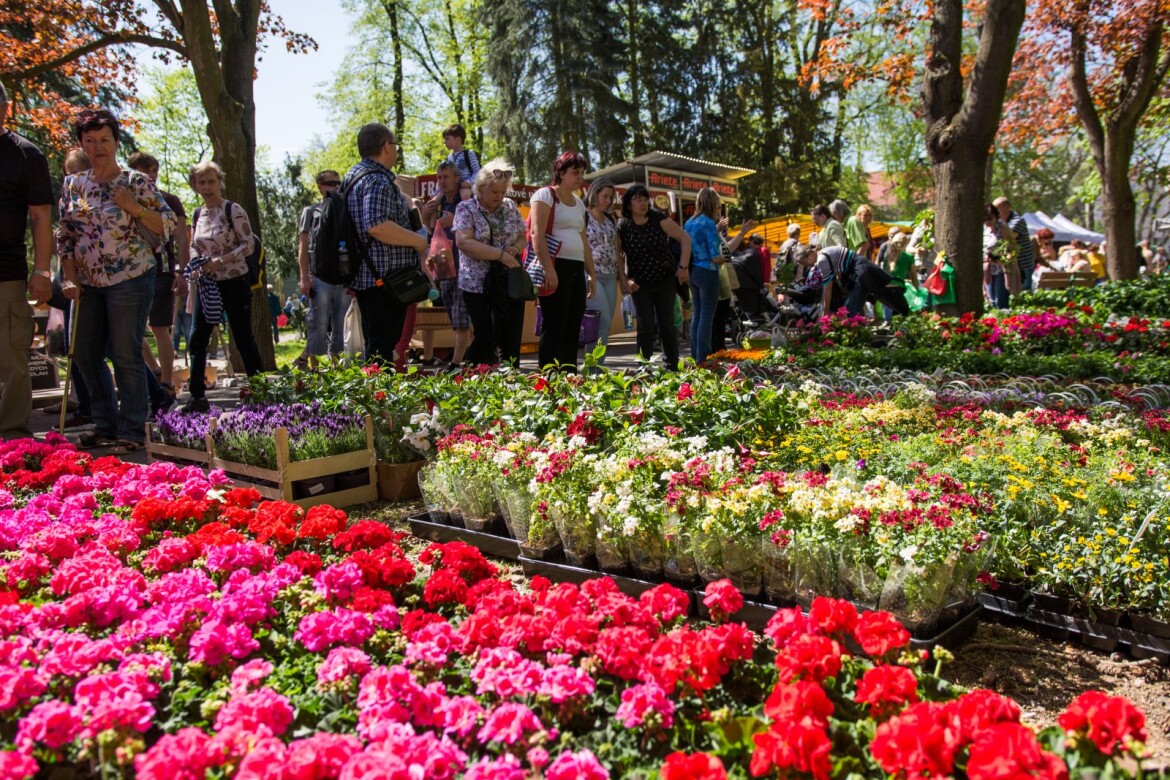 Oslavy jara startují! V Olomouci začíná jarní Flora!
