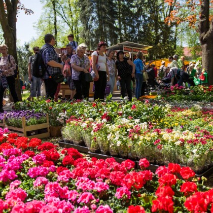 Oslavy jara startují! V Olomouci začíná jarní Flora!