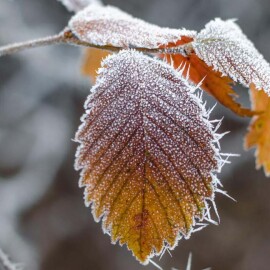 Vytáhněte svetry! O víkendu dorazí první mrazíky!