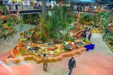 Podzim dorazil do Olomouce! Startuje podzimní Flora!