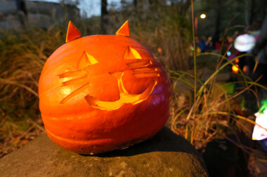 Přijďte se bát! Ostravská zoo ožije Halloweenem!