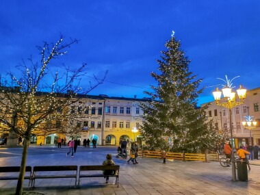 Ve Frýdku-Místku se letos rozsvítí dva hlavní vánoční stromy!