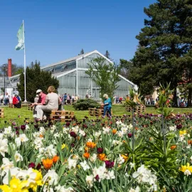V Olomouci dnes začíná jarní etapa mezinárodní výstavy květin Flora!