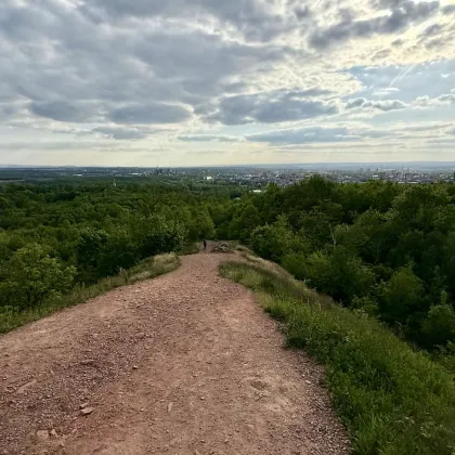 Ostrava: Oblíbený odval Ema nabídne návštěvníkům více