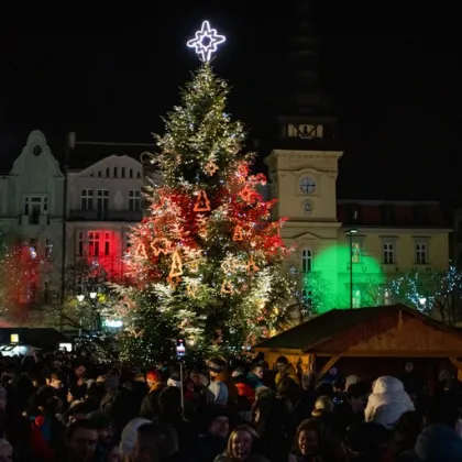 Hledá se vánoční strom pro Ostravu. Může se jím stát ten váš