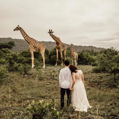Věděli jste, že si můžete uspořádat svatbu v ostravské zoo? Buďte originální!