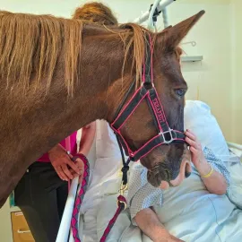 Kůň místo injekce. Pacienti ve šternberské nemocnici zažili zázrak u svých lůžek