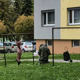 Rozřezaný divočák na sušáku v Olomouci. Scénu jak z hororu řeší celá země