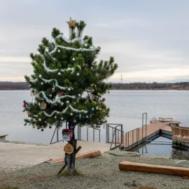 V Karviné se znovu rozsvítí vánoční strom přání, pomůže lidem v tíživé situaci