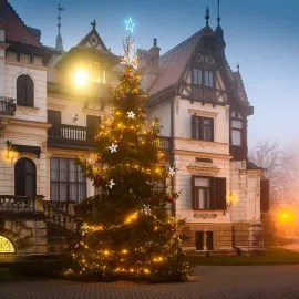 Zlínská zoo láká návštěvníky: jubilejní 800 000. host získá wellness pobyt a roční kartu