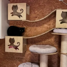 V Porubě někdo ukradl kasičku určenou kočkám z útulku. Bylo v ní šedesát tisíc korun