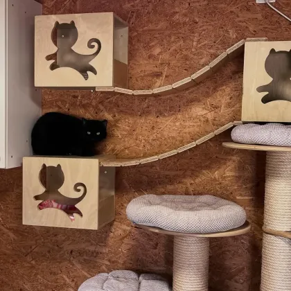 V Porubě někdo ukradl kasičku určenou kočkám z útulku. Bylo v ní šedesát tisíc korun