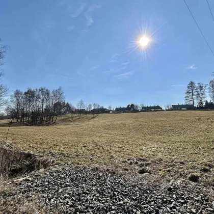 Rodiny na Karvinsku řeší konflikt. Jejich zahrady prý leží na městském pozemku