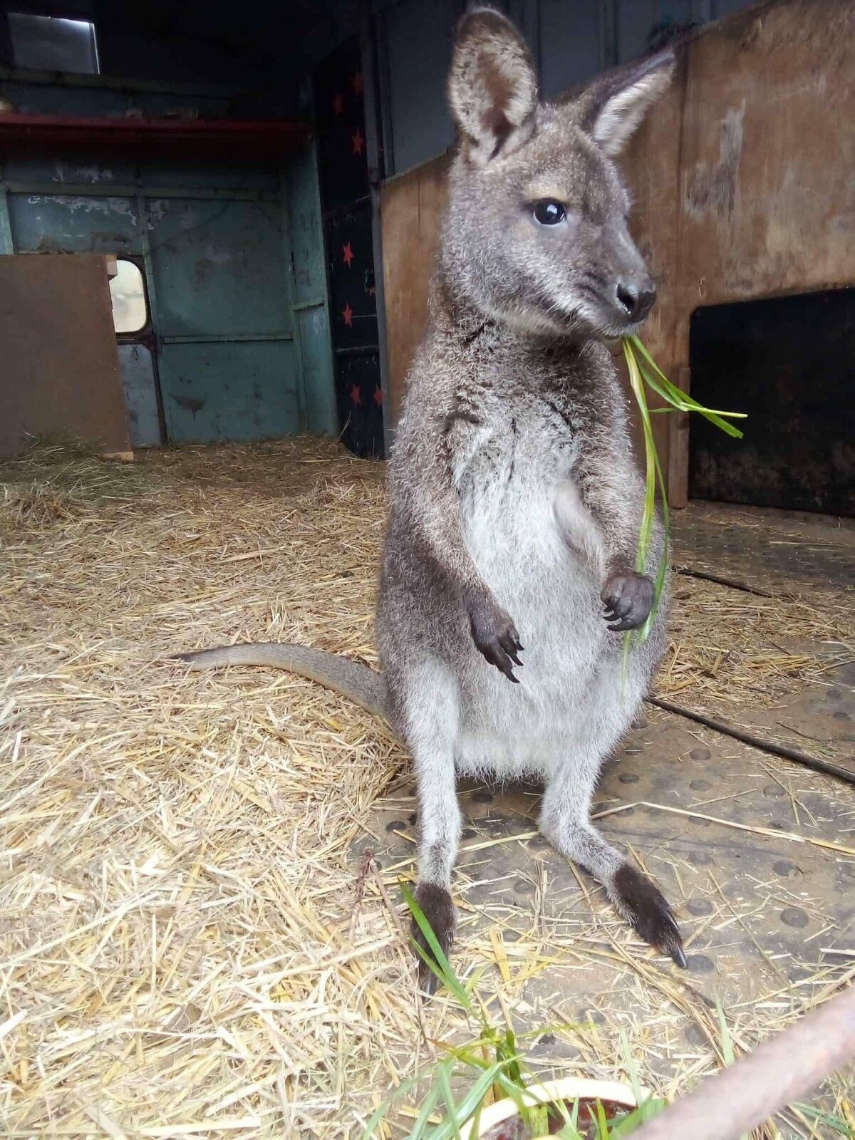 605144132_1366023118893161_2222920006031301515_n